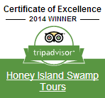 Trip Advisor Certificate of Excellence