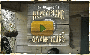 Dr Wagner’s Honey Island Swamp Tours video