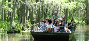 swamp boat