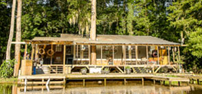 swamp wooden cabin