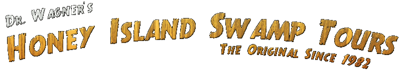 Honey Island Swampt Tours logo