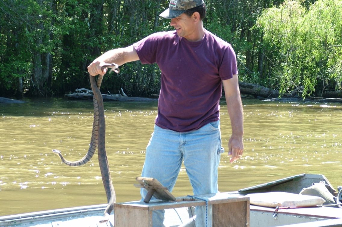 A tour guide in a swamp boat holding a large snake.
