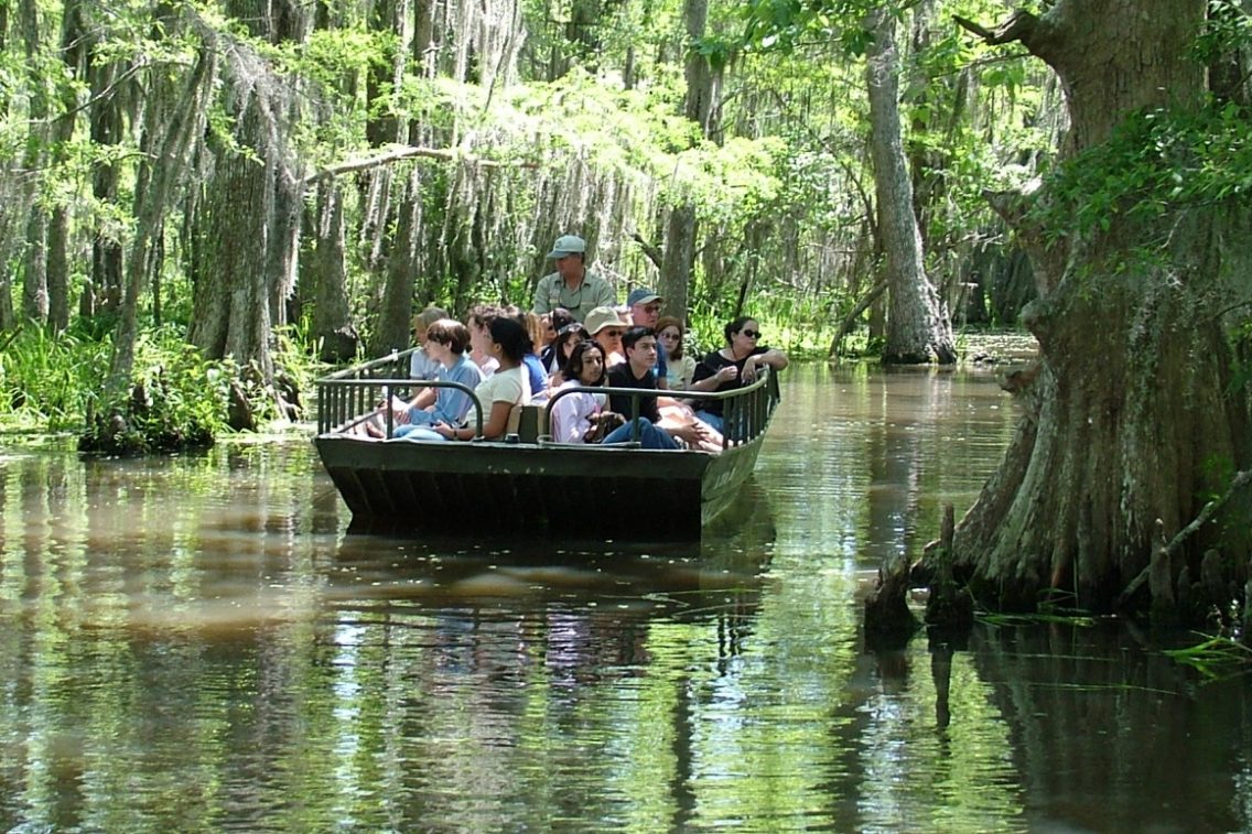 A tour boat full of passengers in a Louisiana swamp.