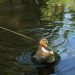 Honey Island Swamp Tour