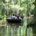 Honey Island Swamp Tour